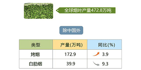 Global tobacco production and operation in 2021